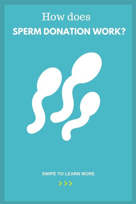 Where To Donate Sperm In Illinois