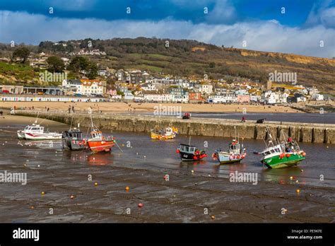 A Low Spring Tide With Colourful Fishing Boats In The Harbour At Lyme