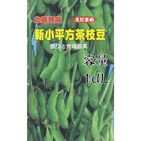 【楽天市場】北越交配 枝豆 新小平方茶豆 1dl 野菜タネ 北越農事 野菜種子 野菜のタネ エダマメ：北越農事 楽天市場店