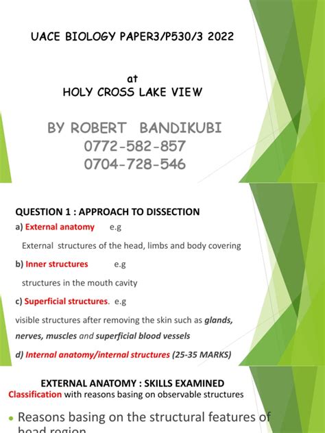 Abe Uace Biology Seminar 2022 Holy Cross Lake View Pdf