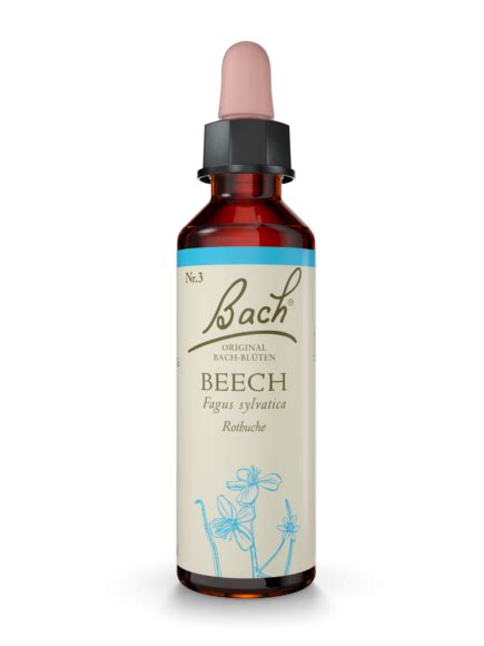 Central Apotheke Leipzig Original Bachblüte Beech Nr 3 20ml