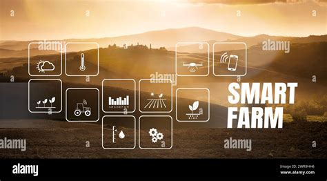 New Technology Agriculture Management For Smart Farm System Green