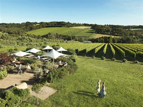 HOT SPRINGS WINERY TOUR Mornington Peninsula AUSTRALIAN PRIVATE TOURS