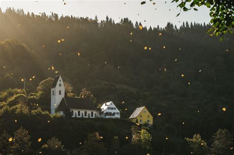 Herrliche Ausflugsziele Im Herbst