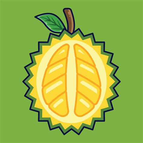 Durian Fruta dibujos animados vector icono ilustración comida Fruta