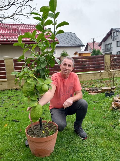 Pavla Okovala Roda V Chladnom Lese Mu Vyr Stol Tropick Obor Uf Z