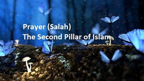 Prayer Salah The Second Pillar Of Islam Muhammadi Site