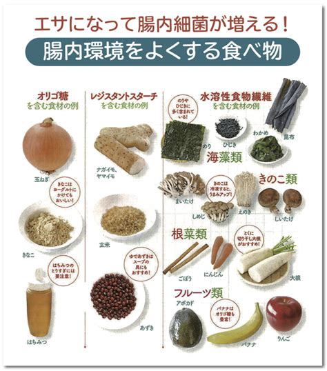 腸内環境をよくする食べ物 佐賀市のみのり歯科診療所