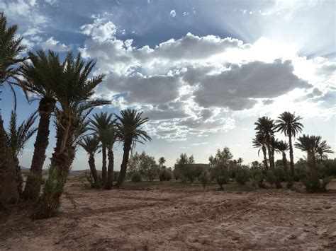 Multitasker Down In The Moroccan Sub Saharan Desert