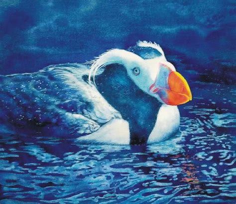 Tufted Puffin Watercolor By Mary Rollins Watercolor Bird Animal Art