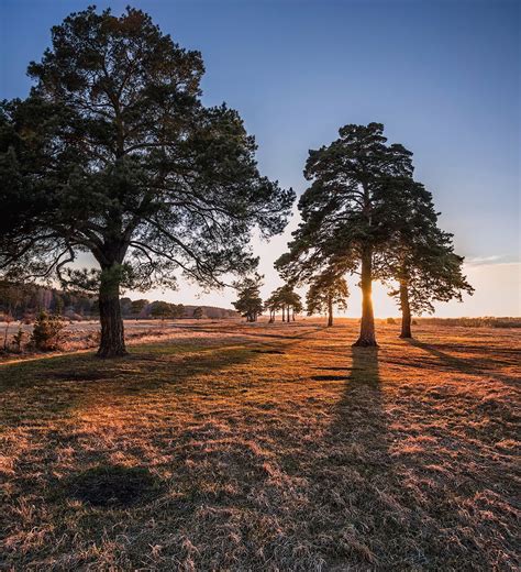 Тюменская область | Пикабу