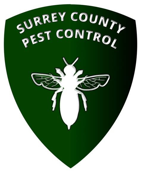 No 1 Pest Control Services In Guildford Surrey