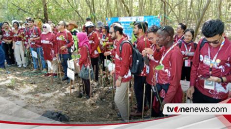 Cegah Abrasi Pantai Mahasiswa Asing Tanam Bibit Pohon Mangrove Di