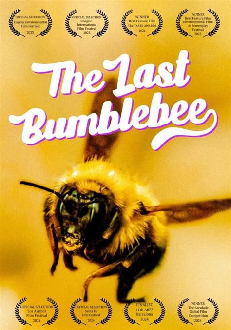 The Last Bumblebee Filme Veja Onde Assistir