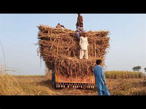 Tractor Trali Load Ganne Ki Mein Bhari Hui Khubsurat Youtube