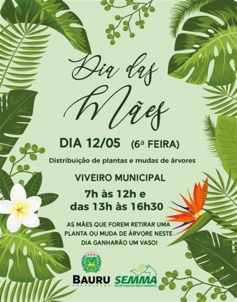 Viveiro Vai Distribuir Plantas E Mudas De Rvores Em A O De Dia Das