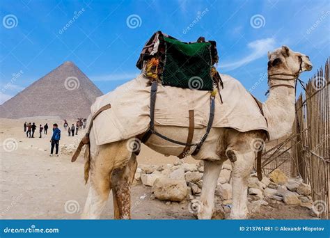 Pyramids Of Giza Great Pyramids Of Egypt The Seventh Wonder Of The World Editorial Photo