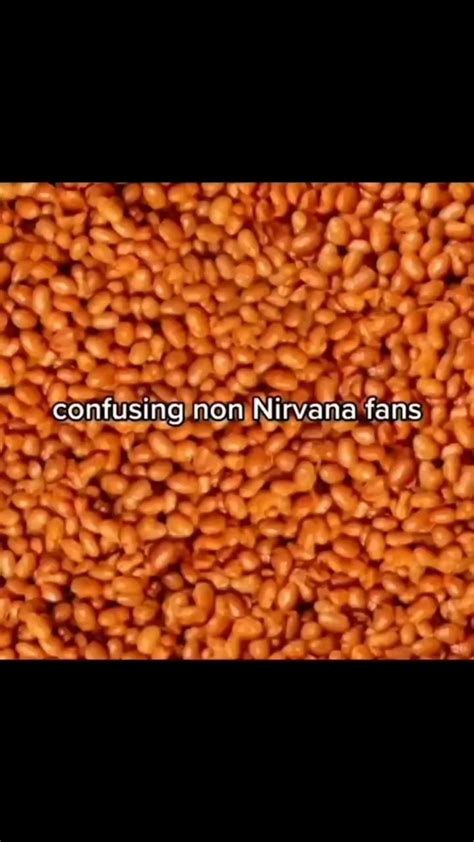 Pin By The Antichrist On Yes Nirvana Nirvana Fans Nirvana Kurt Cobain