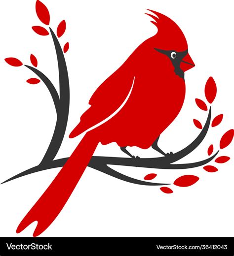 Cardinal Bird Royalty Free Vector Image Vectorstock