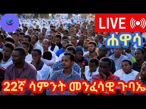 LIVE ሳምንታዊ ልዩ መንፈሳዊ ጉባኤ ቀጥታ ከሀዋሳ ደብረ ምህረት ቅዱስ ገብርኤል ገዳም tube madot