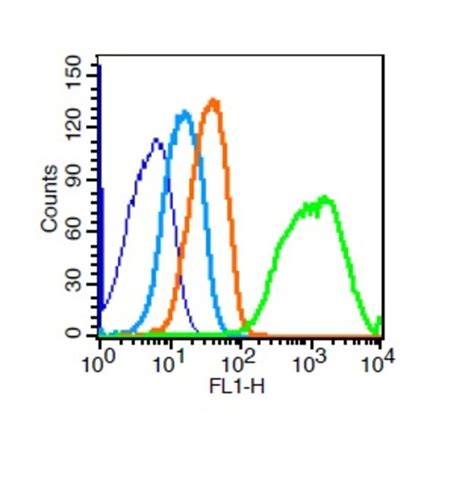 Ve Cadherin Rabbit Anti Human Polyclonal Bioss L Unconjugated