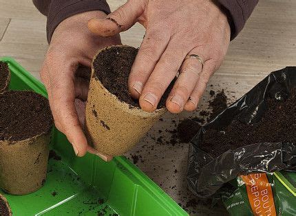 Cultiver Des L Gumes Racines Dans Un Pot En Tuiles Au Jardin Straw