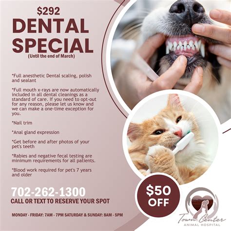 Best Vet Hospital In Las Vegas, NV | Town Center Animal