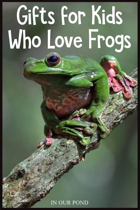 Ts For Kids Who Love Frogs In Our Pond