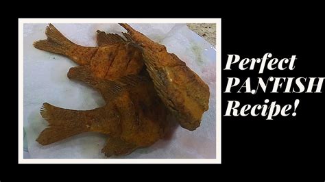 Perfect Panfish Recipe Bluegill Fish Fry Youtube