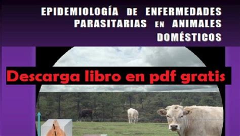 Libro Epidemiología De Enfermedades Parasitarias En Animales Domésticos