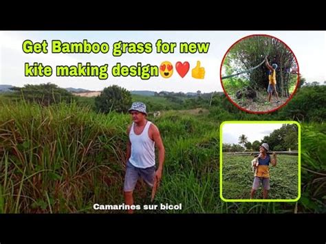 Hirap Talaga Kumuha Ng Kawayan O Bamboo Grass Para Sa Paggawa Ng