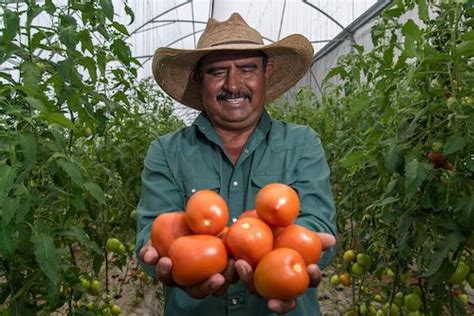 Exportaciones Agroalimentarias De México Rompen Récord Superan 41 Mil Mdd Imagen Agropecuaria