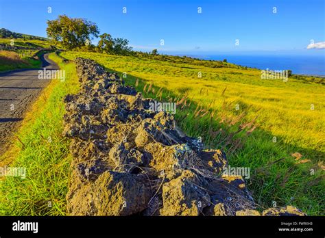 Hawaiian Fence Background Hi Res Stock Photography And Images Alamy