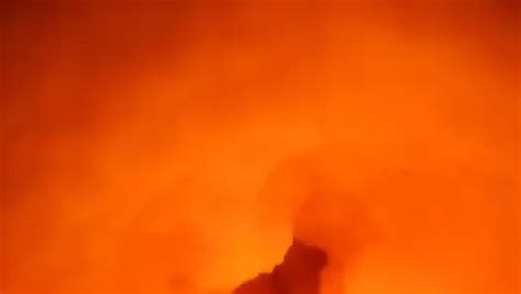 Panocha Porn Videos Gay XXX 2024 XHamster