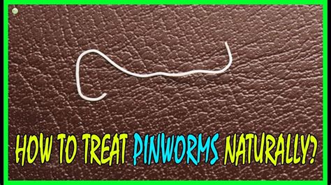 5 Effective Home Remedies To Treat Pinworms Naturally How To Get Rid