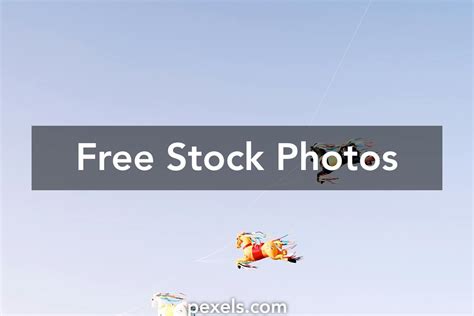 Kids Flying Kites Photos Download The Best Free Kids Flying Kites