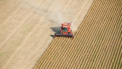 No Agro Brasil Exporta Mais Por Menos No 1 Semestre De 2019