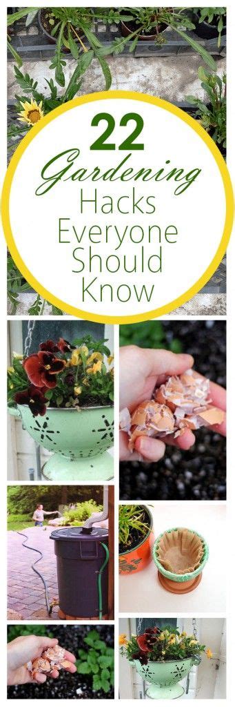 22 Gardening Hacks Everyone Should Know Bees And Roses Gardening