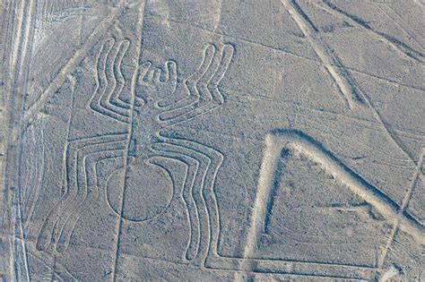 Marie Reiche la científica protectora de las Líneas de Nazca