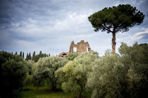 Villa Adriana, Tivoli. Rome. Italy Stock Image - Image of canopus ...