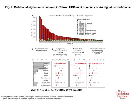 Fig 2 Mutational Signature Exposures In Taiwan HCCs And Summary Of AA