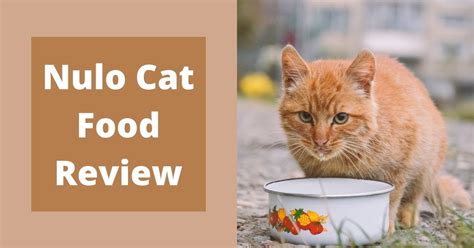 Nulo Cat Food Review | Updated for 2022