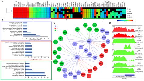 Brain Sciences Free Full Text A Core Transcription Regulatory