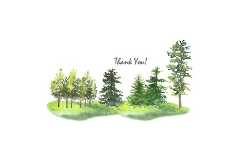 Watercolor Forest Tree Clipart Woodland Pine Trees Etsy