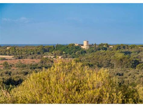 Ses Salines Parcela Edificable Rara Con Impresionantes Vistas Al Mar