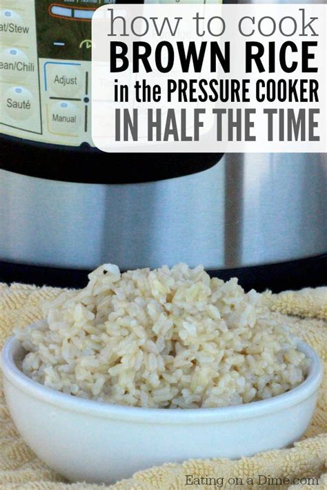 Brown Rice Pressure Cooker Recipe - Eating on a Dime