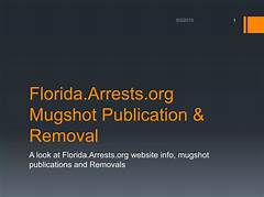Floridaarrests Org Seminole Seminole Officials Are Panicking Over This Arrest Data