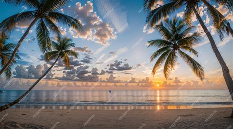 Premium AI Image | Sunset at tropical beach and coconut tree