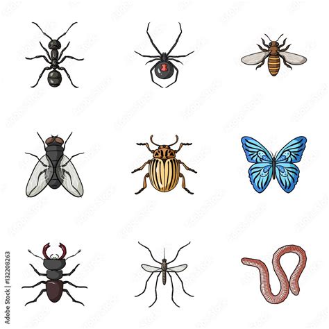 Vetor De Insects Set Icons In Cartoon Style Big Collection Of Insects