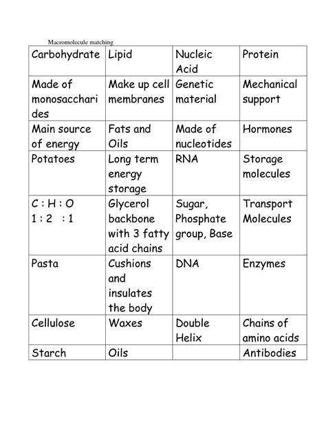 16 Organic Macromolecules Worksheet Chart Answers